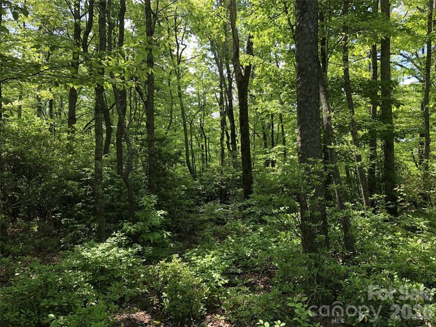 Beautiful lot that can have long range views. Lace Falls is a great community nestled in WNC and has larger lots with privacy on each lot. Great area, 15 minutes from town. Several different lots for sale