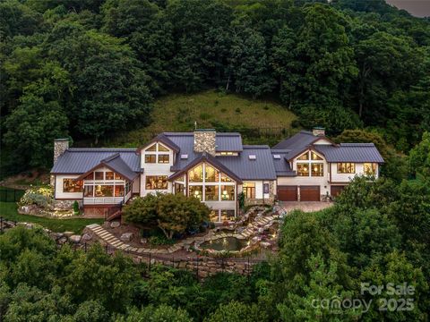 10 Beaverbrook Court Asheville NC 28804