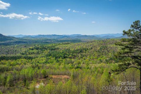 183 Woodgate Trail 103 Nebo NC 28761