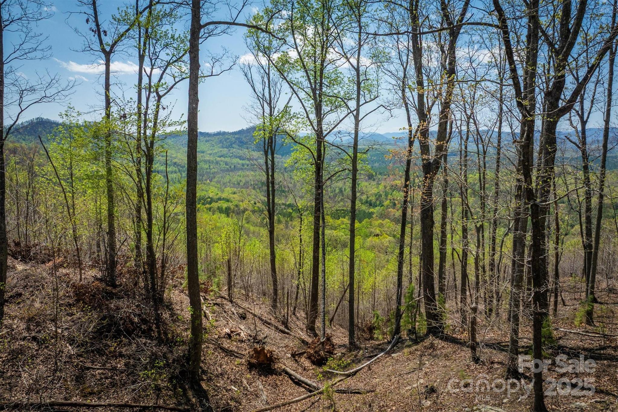 183 Woodgate Trail 103