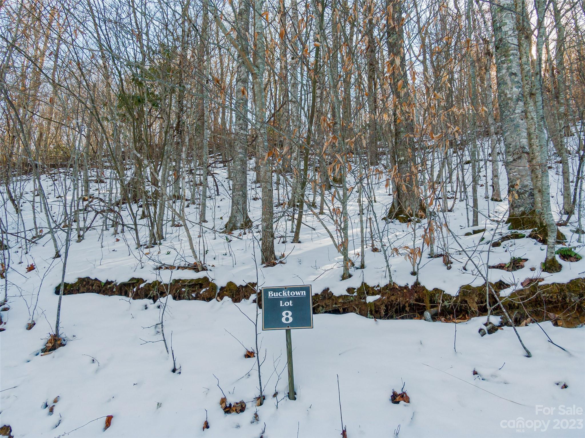 Lot 8 Settlement Way