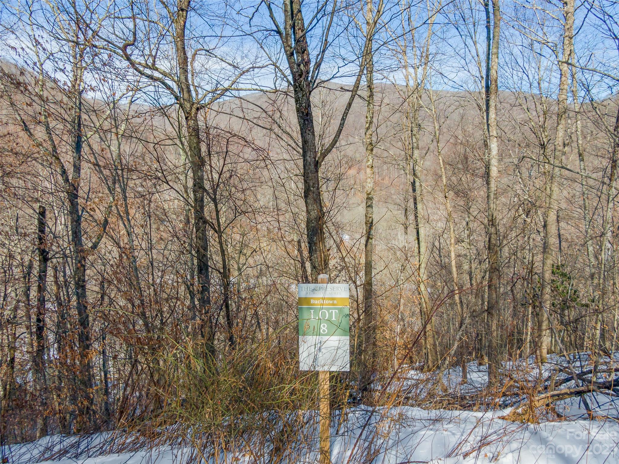 The Preserve at Wolf Laurel - Land