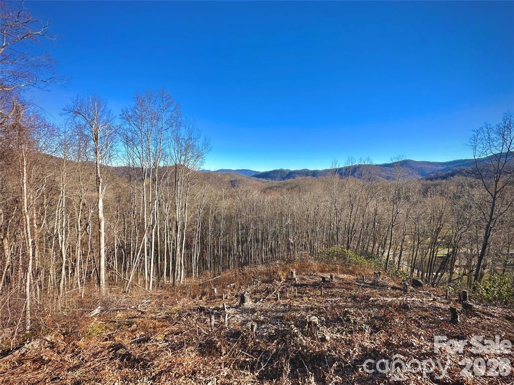 Lot 3 Mountain Watch Drive