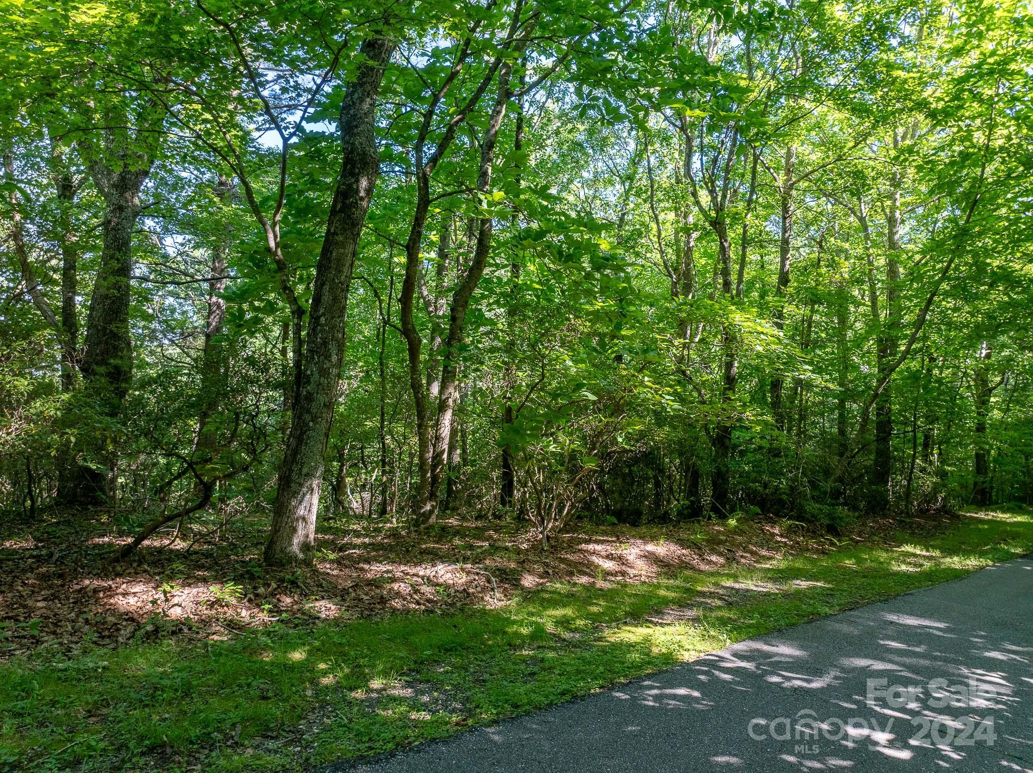 TBD Continental Divide Road C3