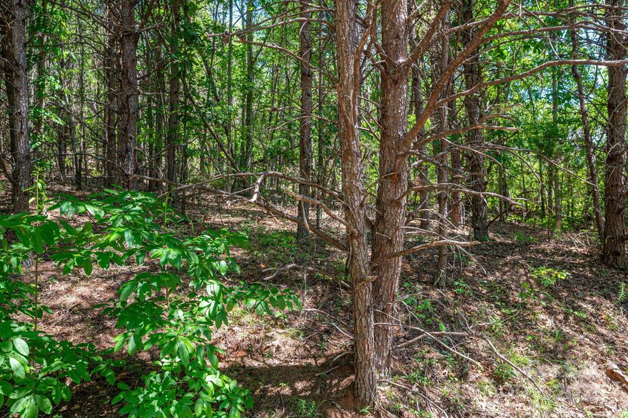 Build your dream home in the charming and historically rich community of Westbrook Acres! This peaceful cul-de-sac lot offers 0.53 acres of wooded beauty with city water and underground utilities already in place (septic needed). Bring your own builder or ask about ours!

Located just 5 minutes from downtown Rutherfordton, 4 minutes to R-S Central High School, and 6 minutes to Rutherford Regional Health System. Enjoy easy access to Forest City, the Tryon International Equestrian Center, and Cleghorn Golf & Sports Club—all within 20 minutes. Plus, you're under an hour from Asheville, Hendersonville, and Charlotte.

Set in North Carolina’s “Geo-Thermal Belt,” Westbrook Acres offers a mild year-round climate ideal for outdoor living—walk the nearby Purple Martin Trail, attend local festivals and concerts, or explore hiking, camping, and equestrian events across the region.