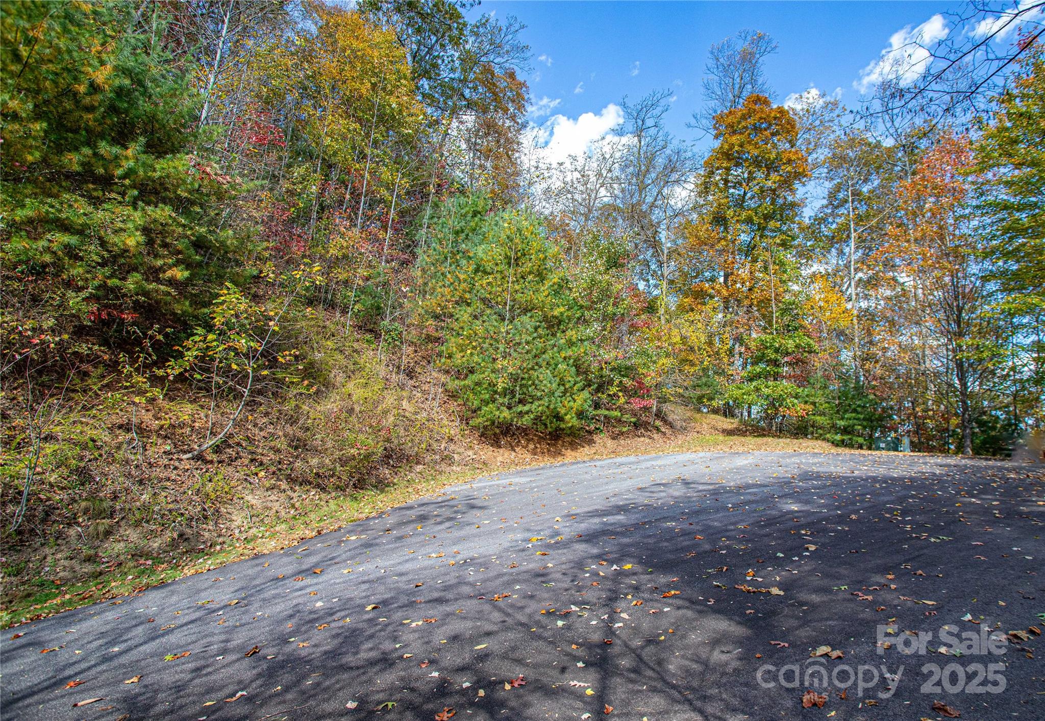 Mountain Brook - Land