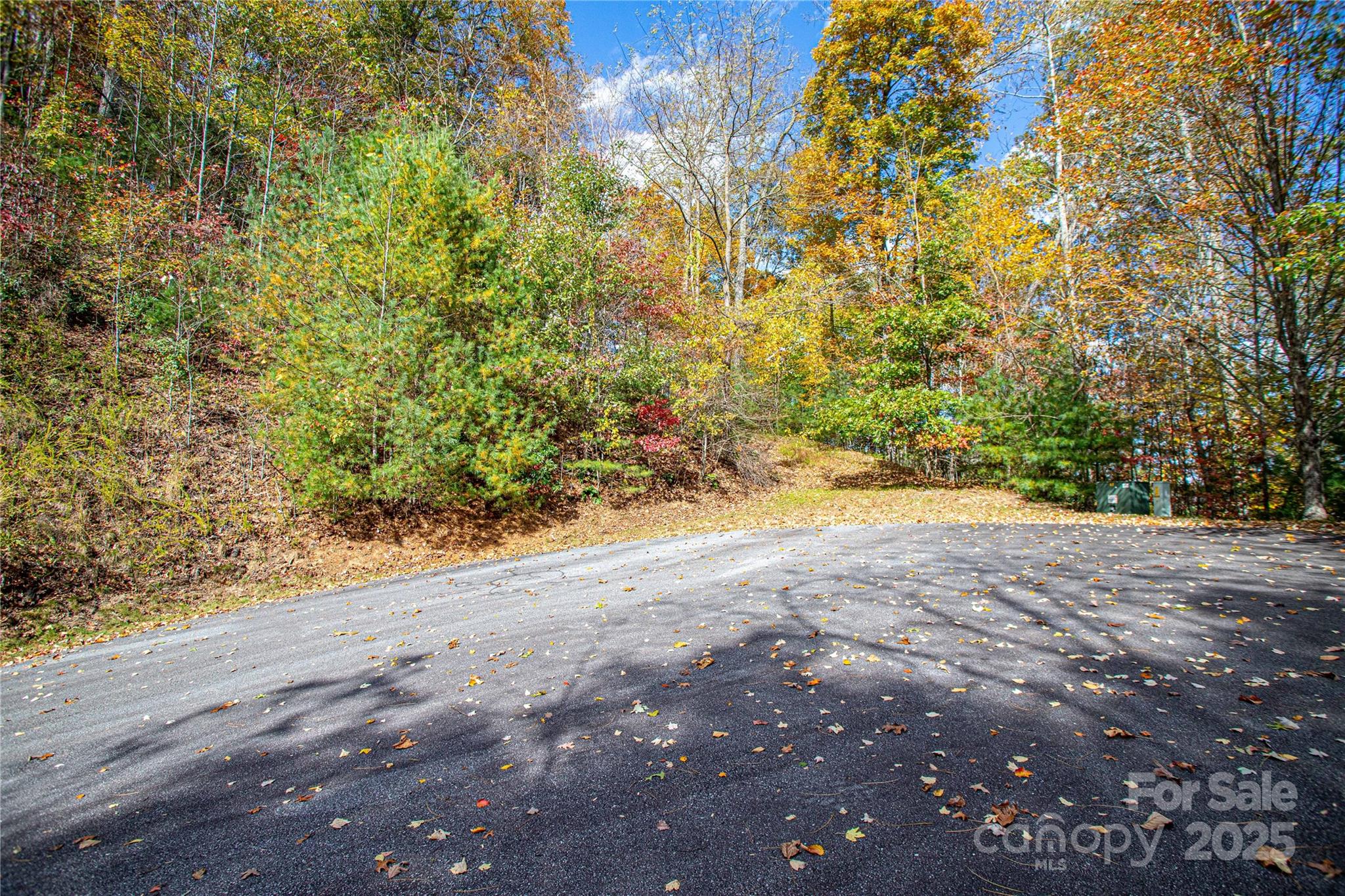 Mountain Brook - Land