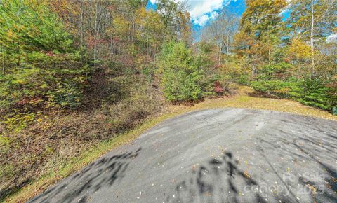 TBD High Point Trail 21 Brevard NC 28712