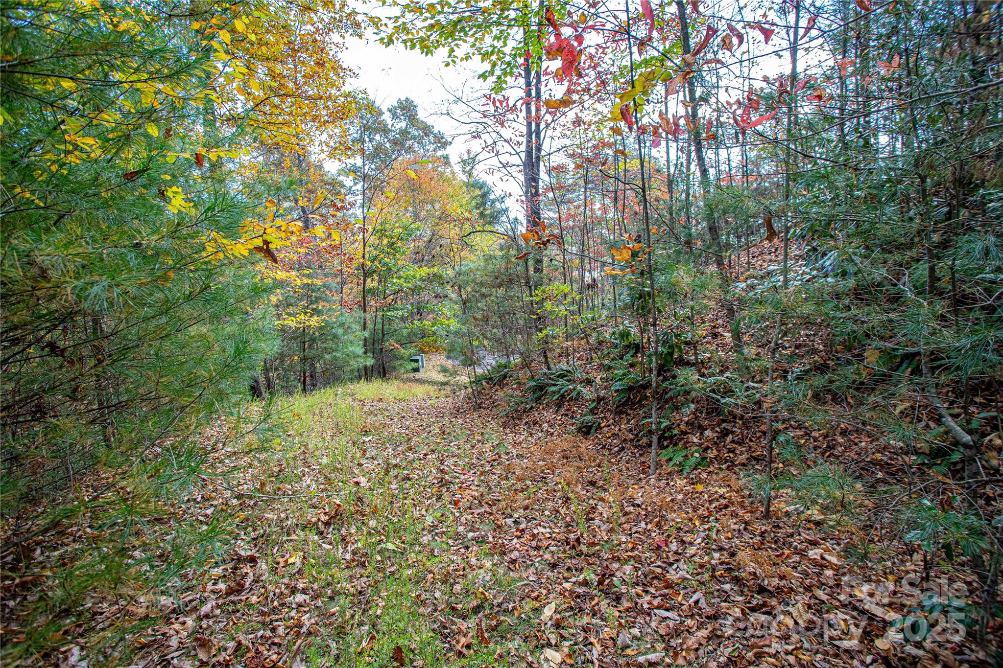 Mountain Brook - Land