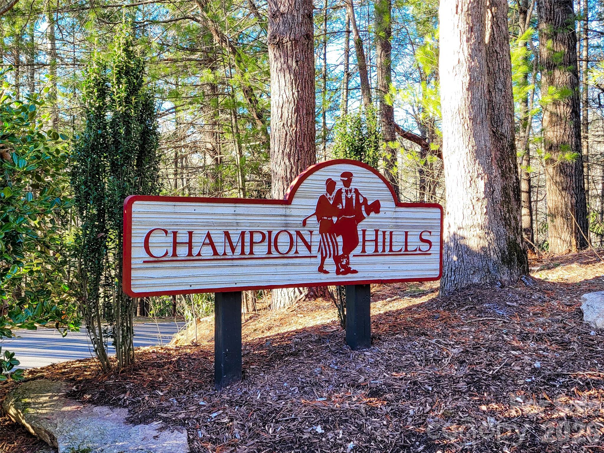 Champion Hills - Land