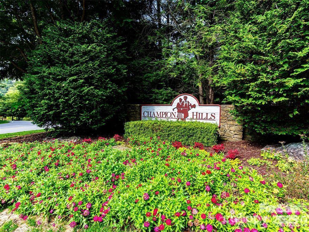 Champion Hills - Land