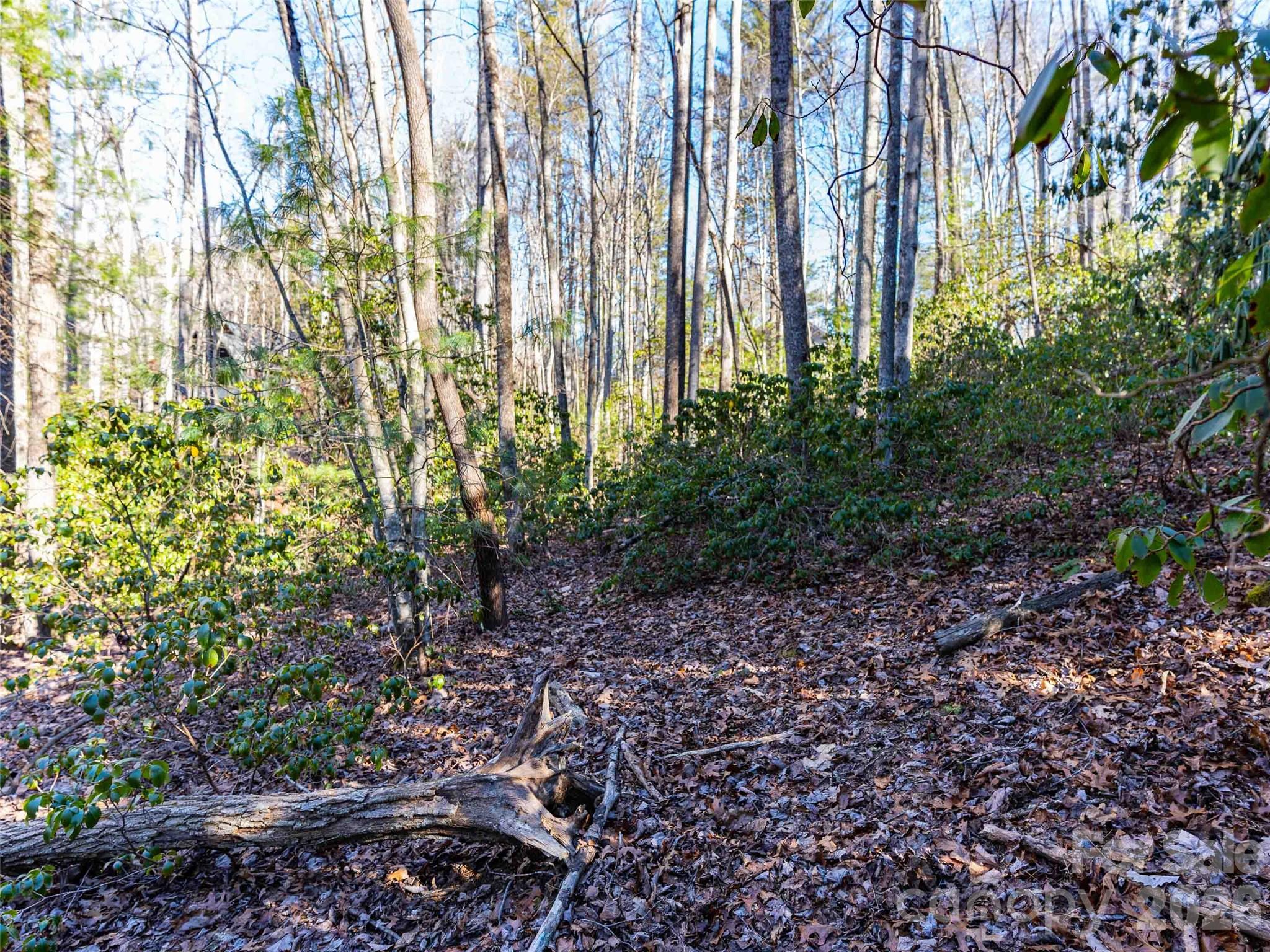 Champion Hills - Land