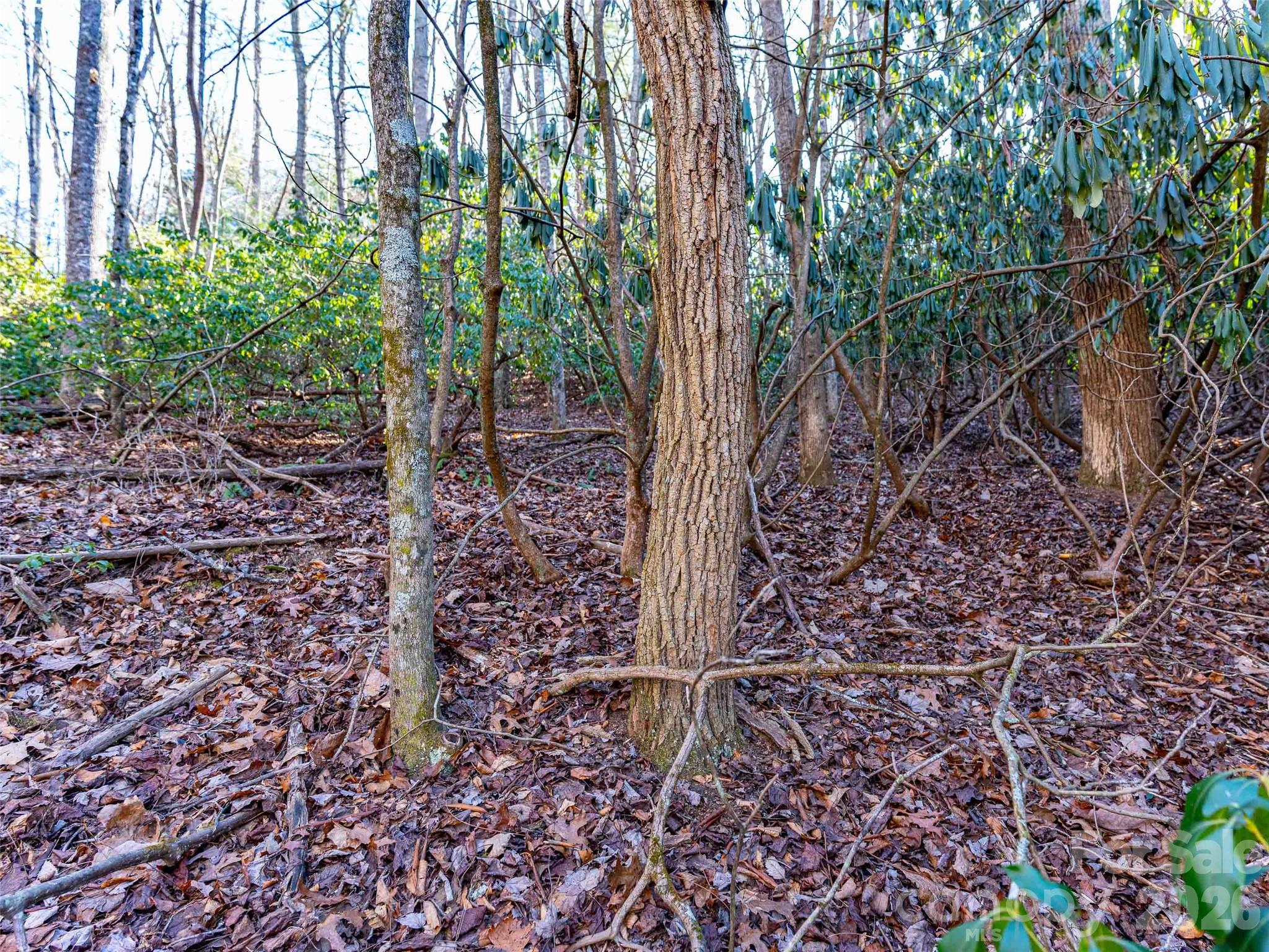 Champion Hills - Land