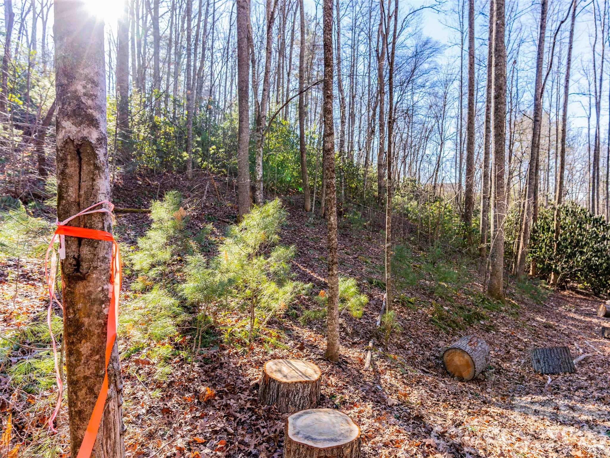 Champion Hills - Land