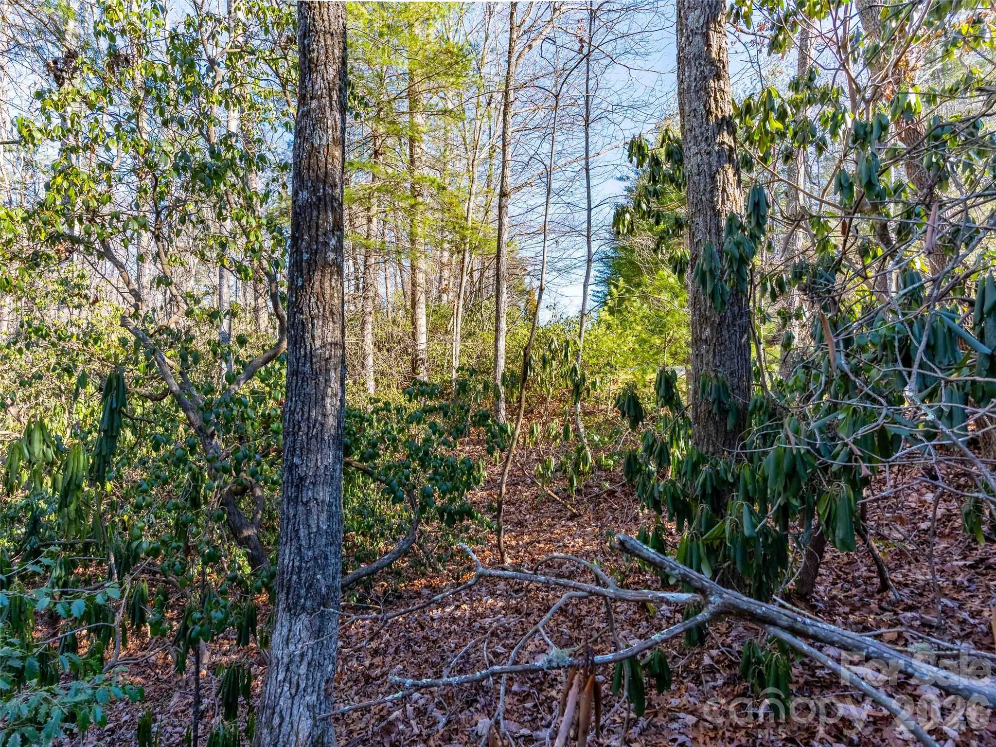 Champion Hills - Land