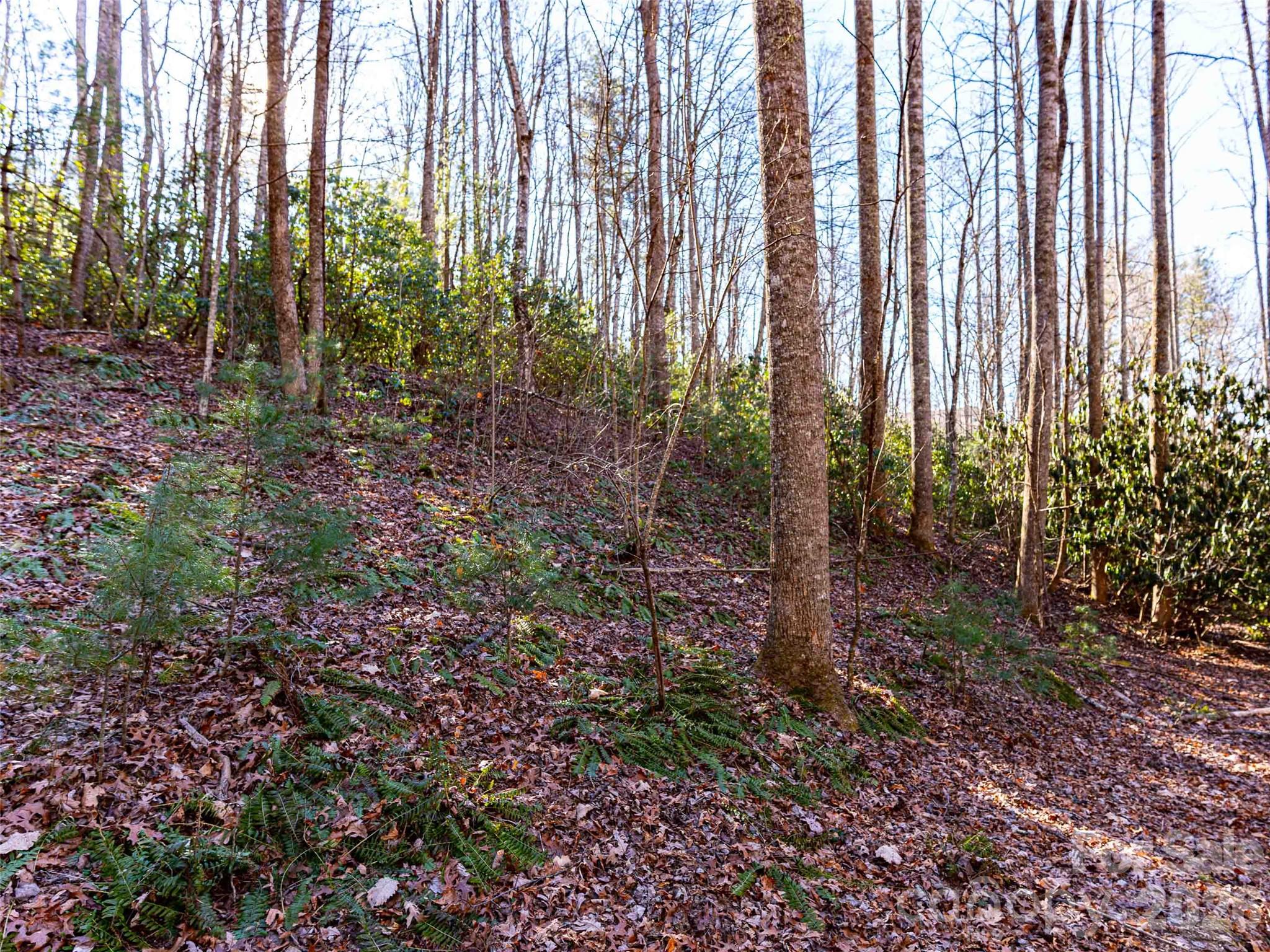 Champion Hills - Land