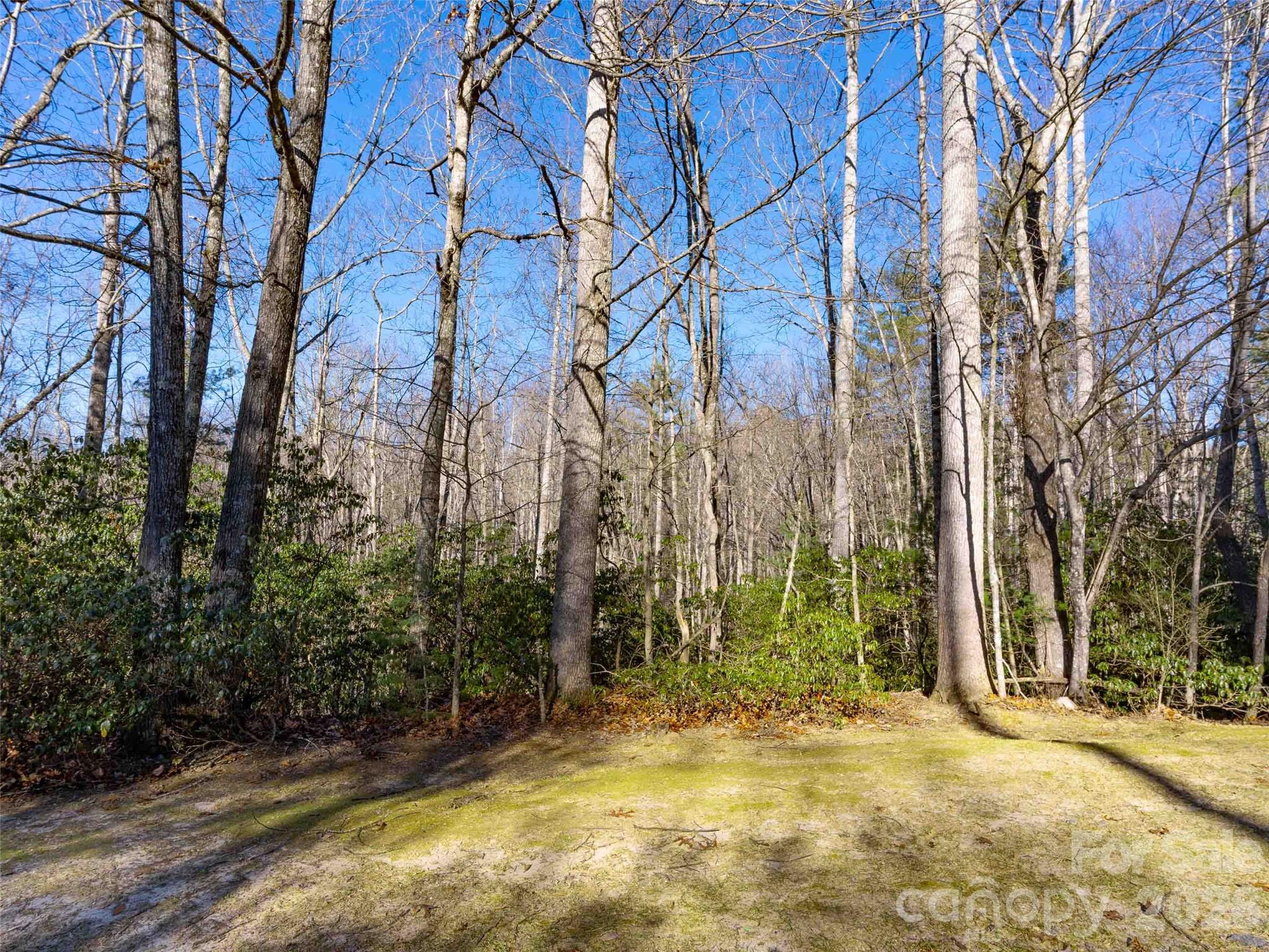 Champion Hills - Land