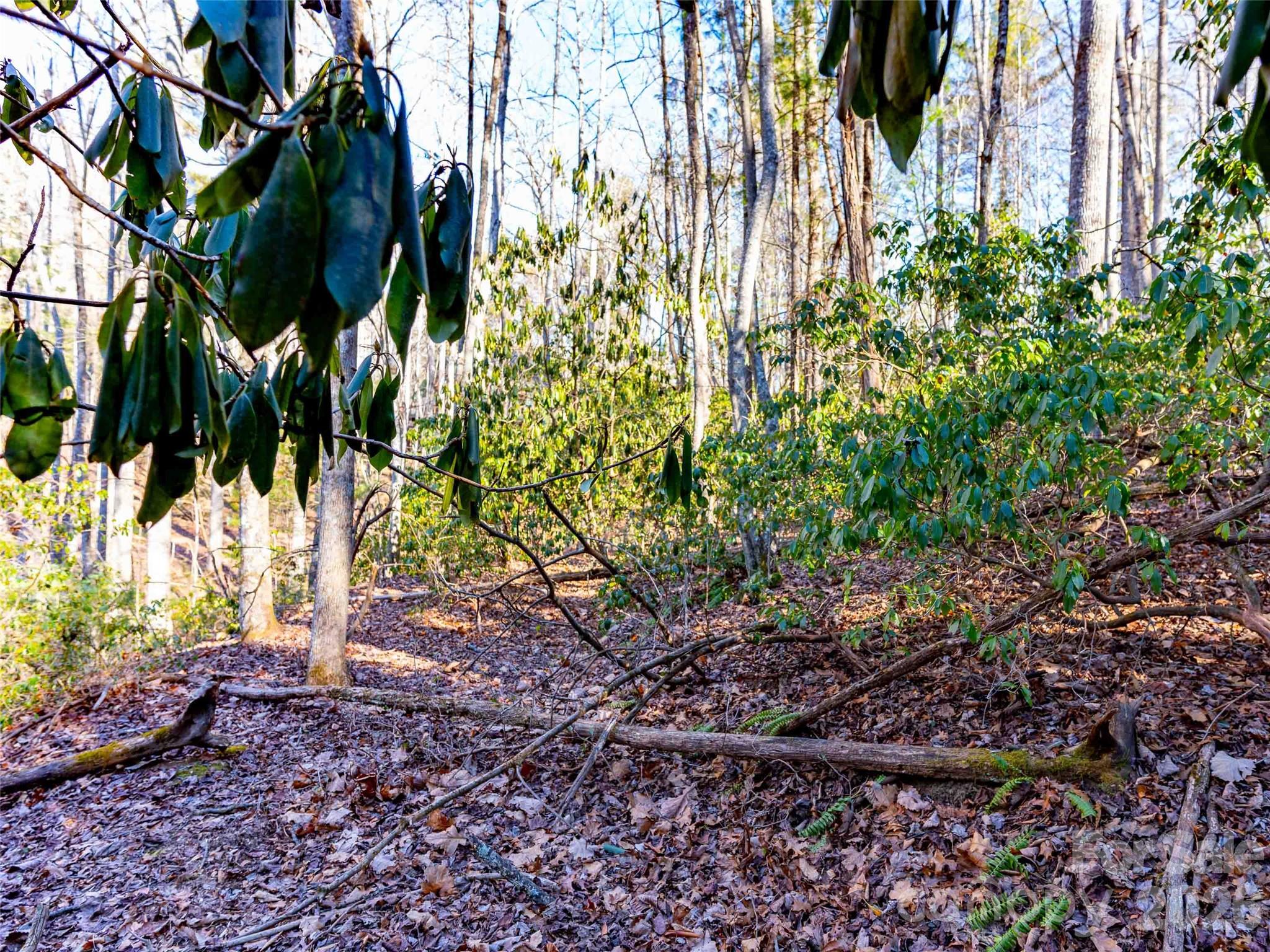 Champion Hills - Land