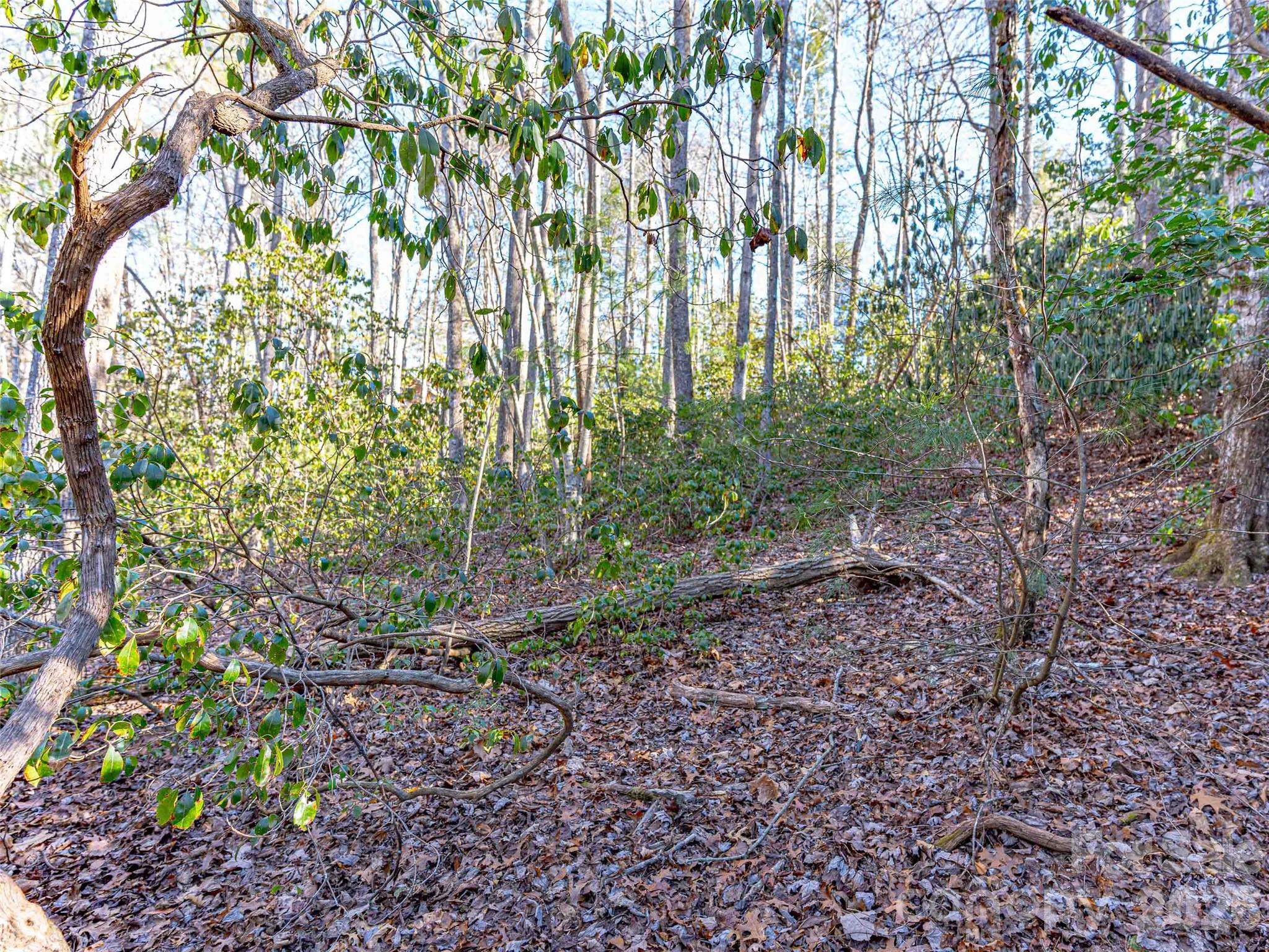 Champion Hills - Land