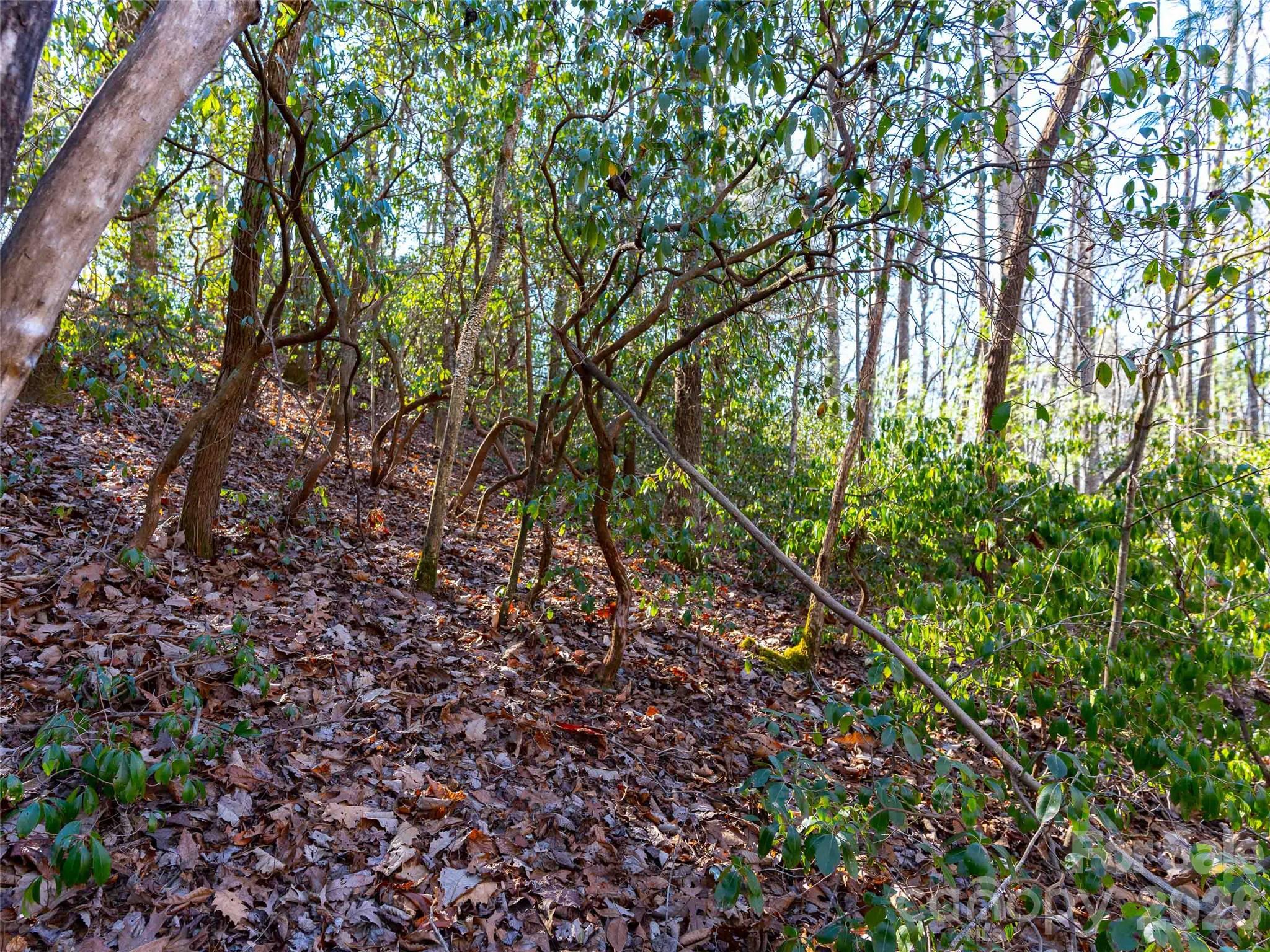 Champion Hills - Land