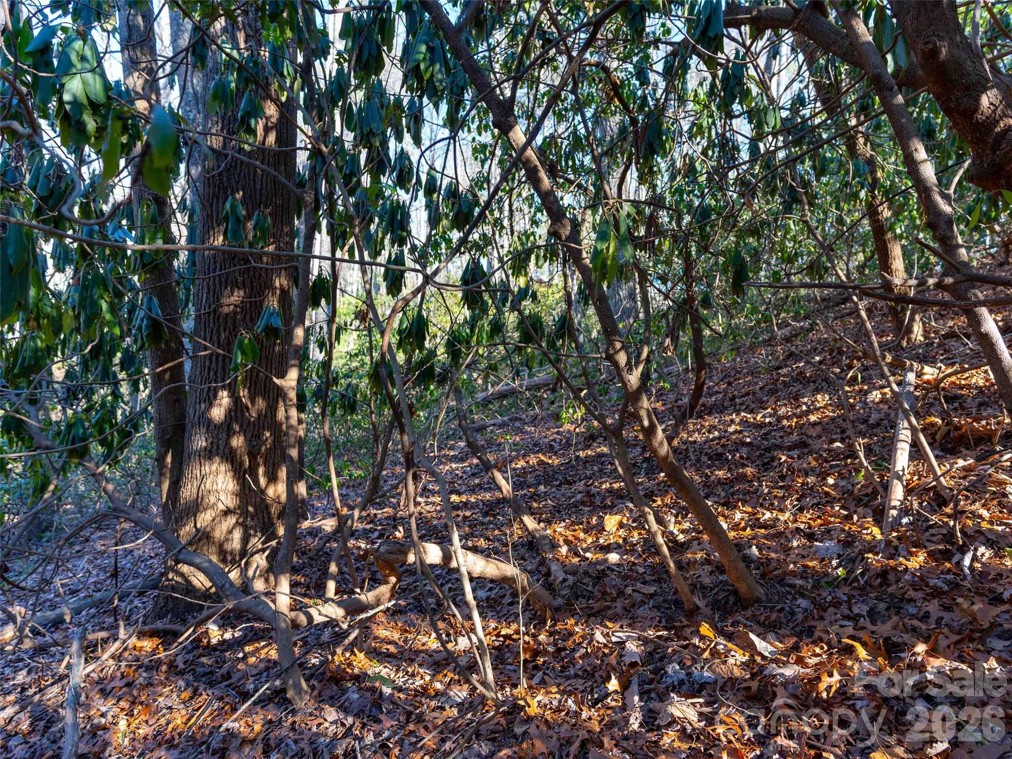 Champion Hills - Land