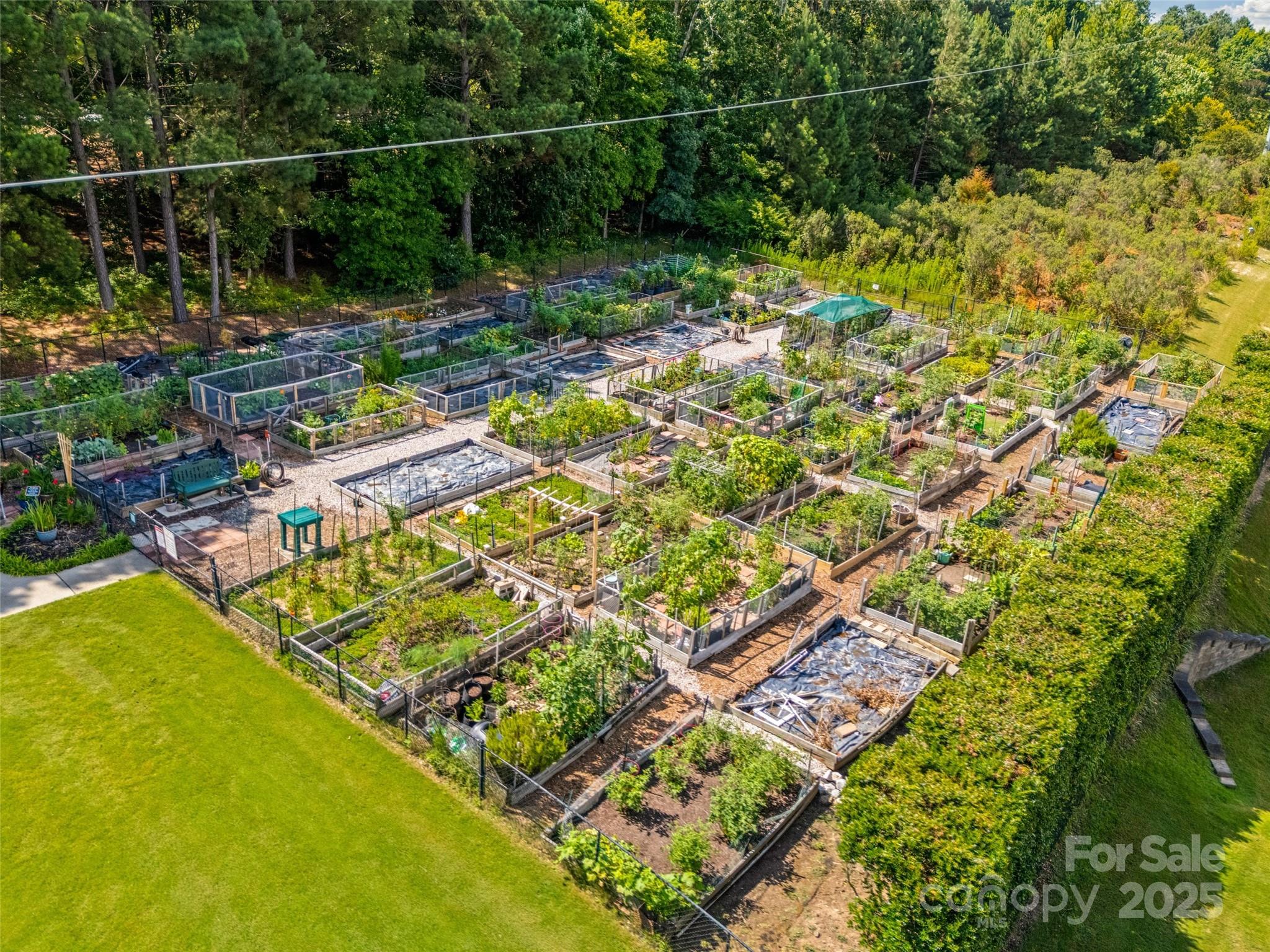 Sun City Carolina Lakes - Residential