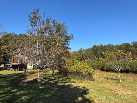 Photo of 147 Helton Lane, Mill Spring, NC 28756 (MLS # 4312061)