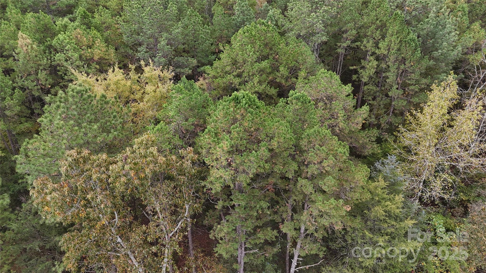 0 Trinity Church Road