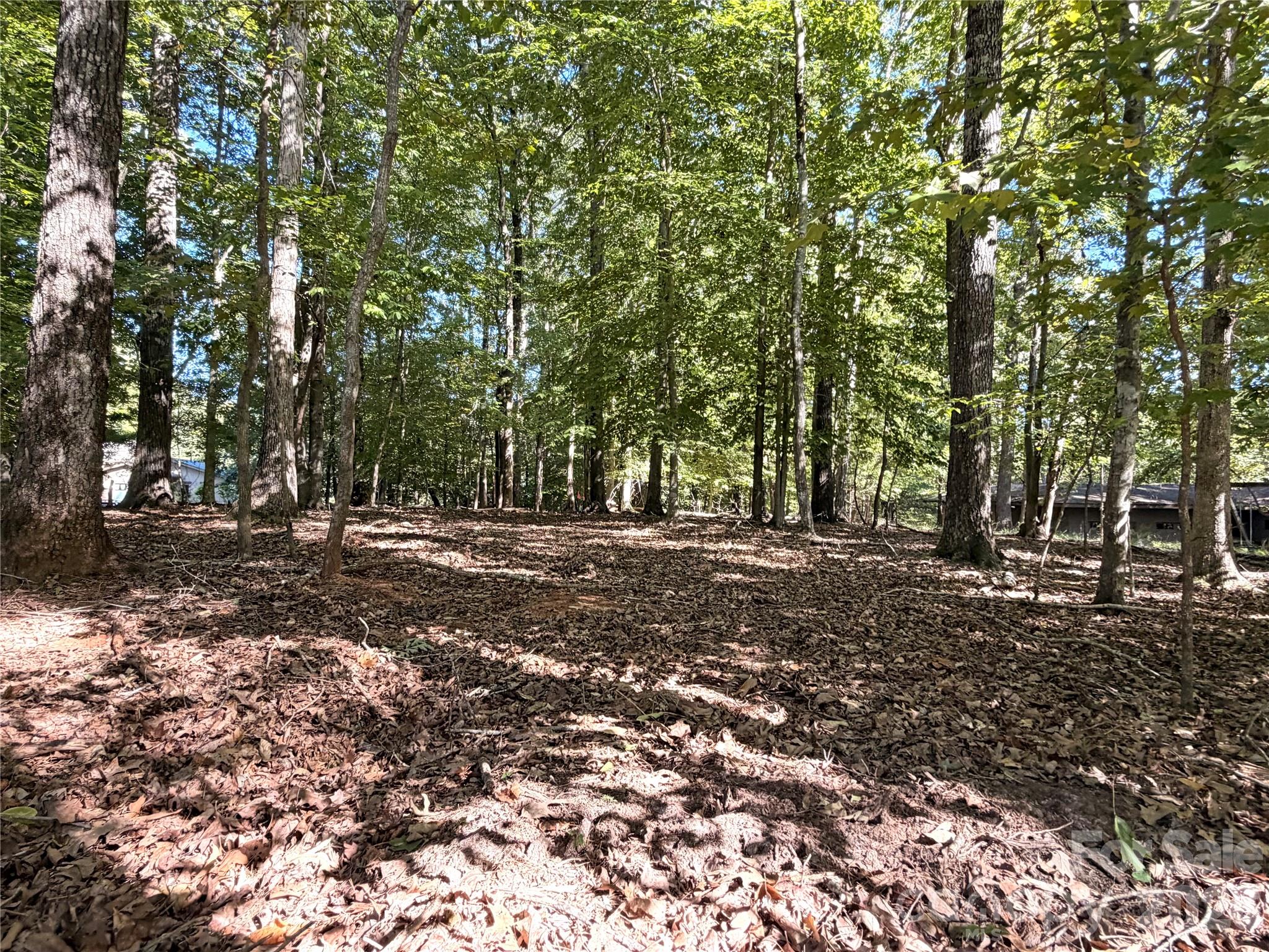 Lot 2 Lochaven Road