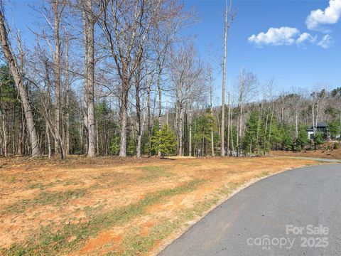505 Hollow Trail Asheville NC 28803