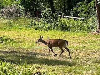 Oberon Preserve - Residential