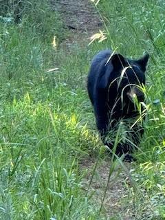 Oberon Preserve - Residential