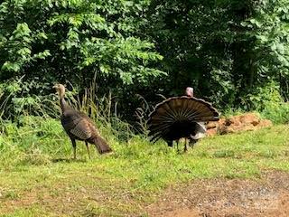 Oberon Preserve - Residential