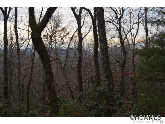 Deep Woods - Residential