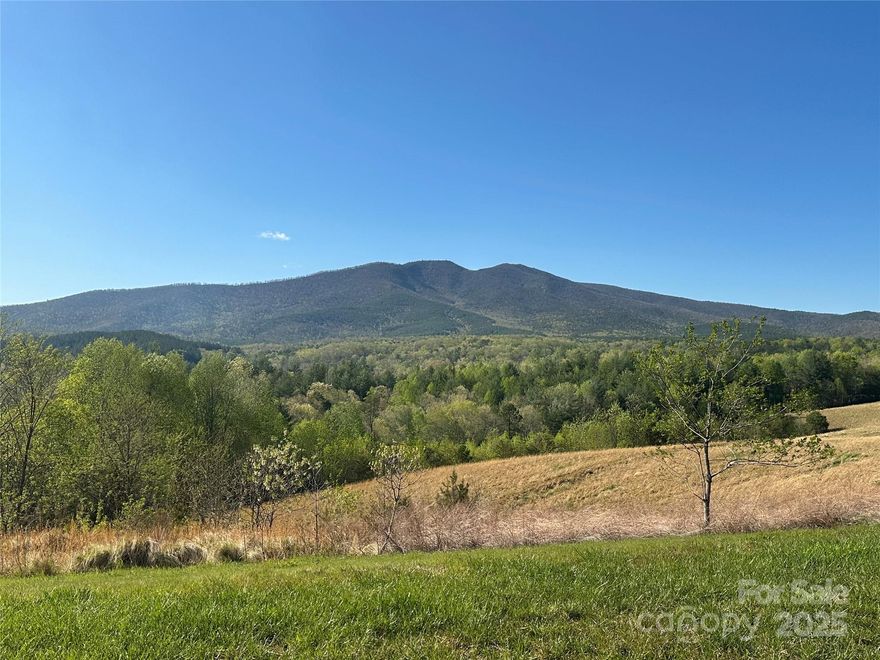 This 0.99-acre lot in the Bear Cliff Subdivision is an ideal location to build your dream home. With breathtaking mountain views, it is a short golf cart ride away from Creek Marina, where you can enjoy food, drinks, and live music. It is only minutes from Black Bear Public access, making it convenient to launch your boat or store it at nearby marinas. The community a peaceful and relaxing atmosphere, making it perfect to create your ideal residence Lake James provides a variety of recreational activities such as boating, and swimming. Don't miss this incredible opportunity.