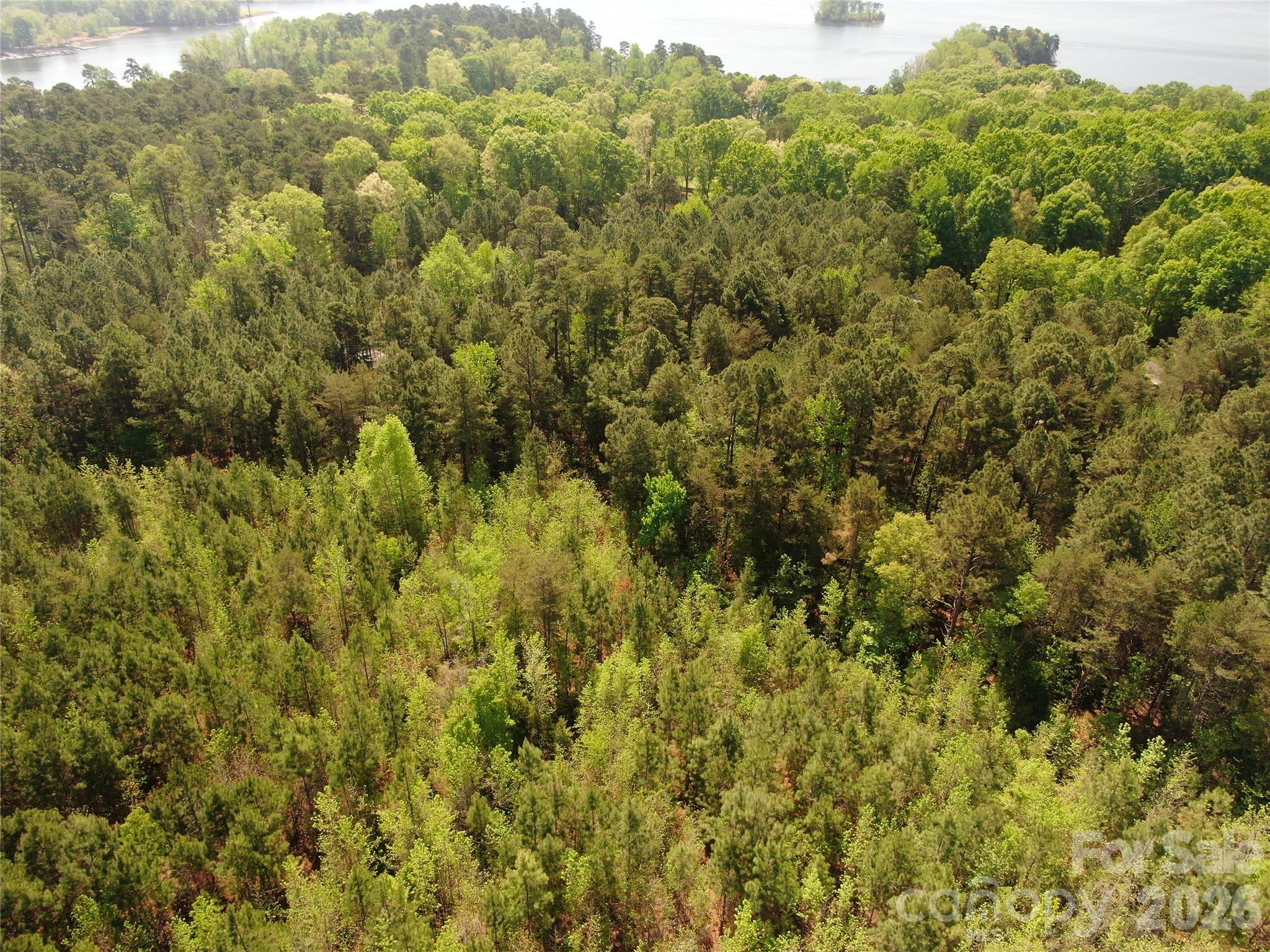 123 Summer Lake Drive