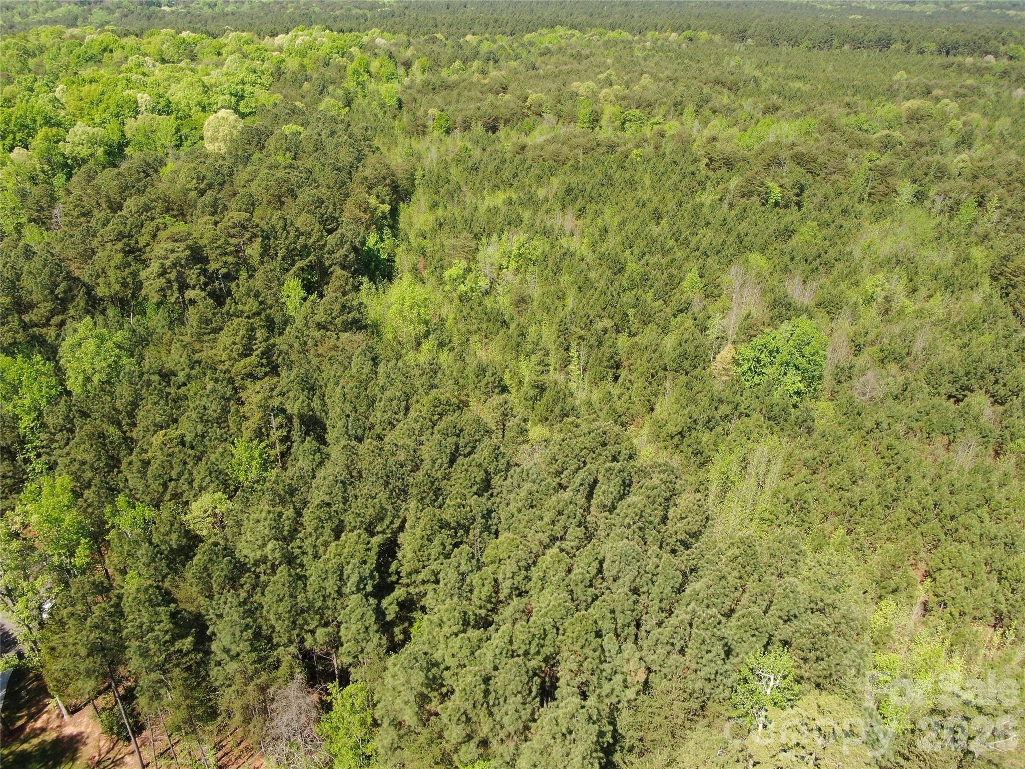 123 Summer Lake Drive