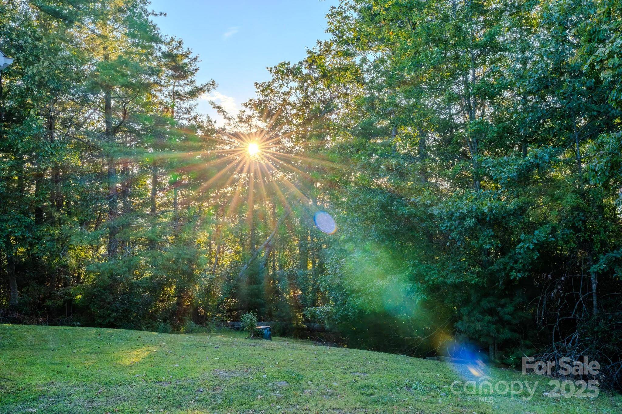 Spruce Pine Heights - Residential