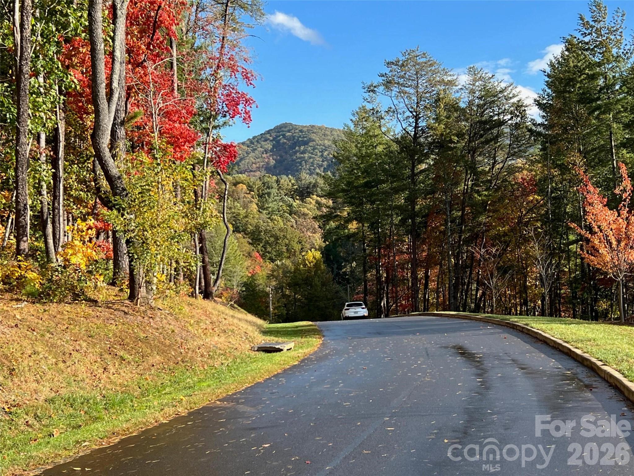165 Riverbend Forest Drive 11
