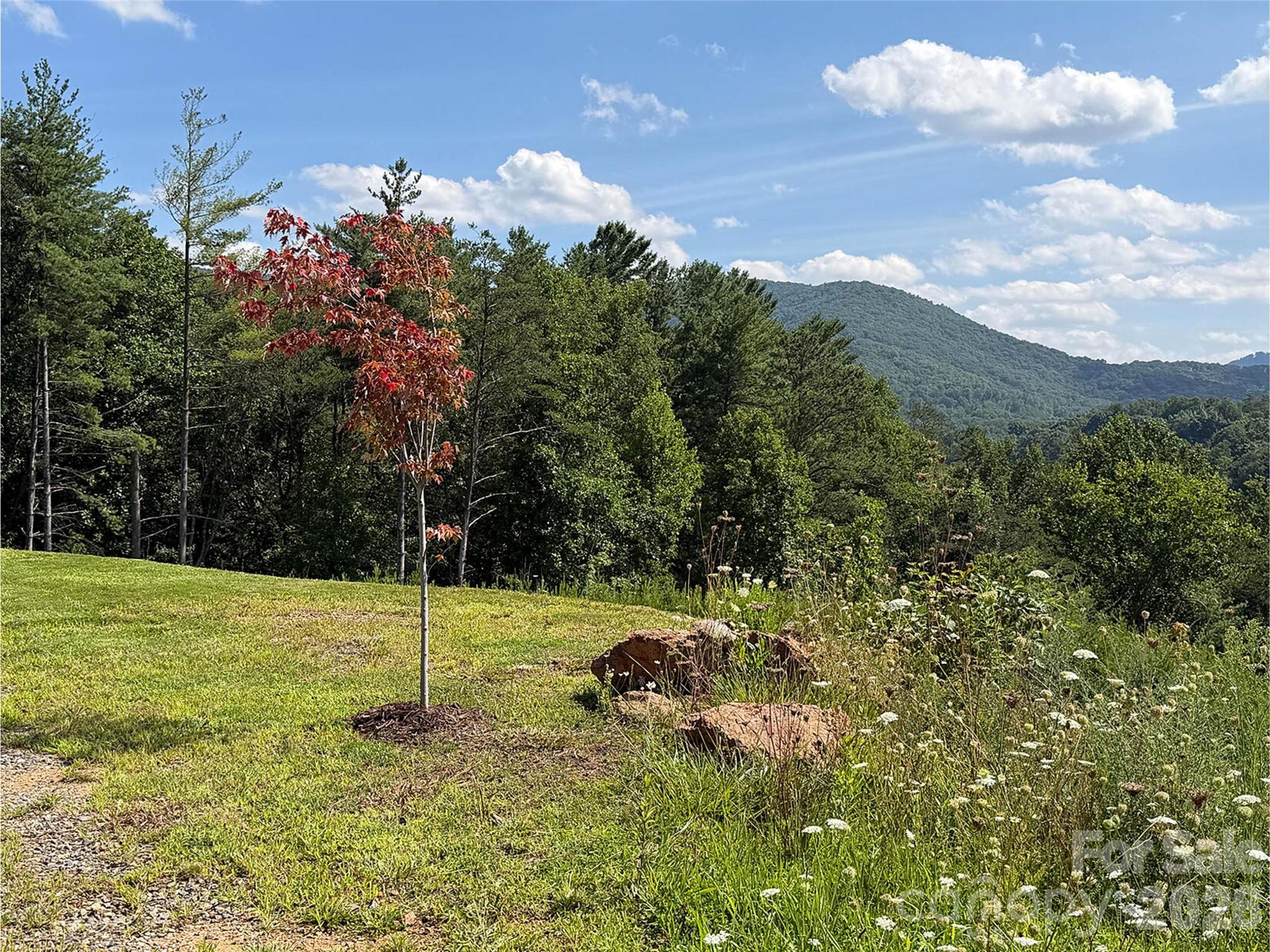 165 Riverbend Forest Drive 11