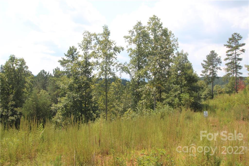 Island Pointe at Lake Vistas - Land