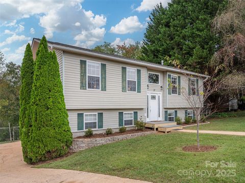 37 Sydney Lane Asheville NC 28806
