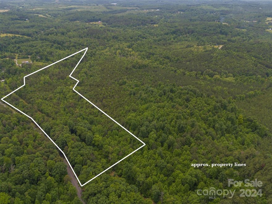 This is a great piece of property. 69 acres with water and road front. Could be used for several things. Horse farm or Private Estate, Etc. Just off Hwy 64 so easy access to anywhere. Hurry this is a must see.