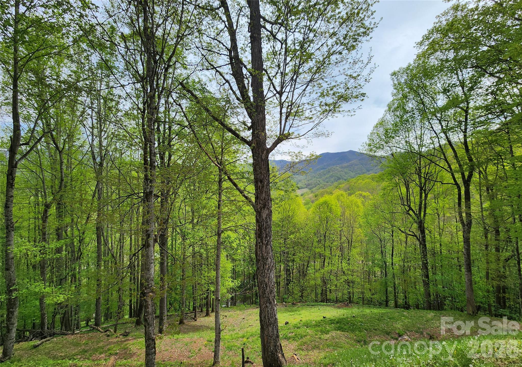 The Croft - Residential