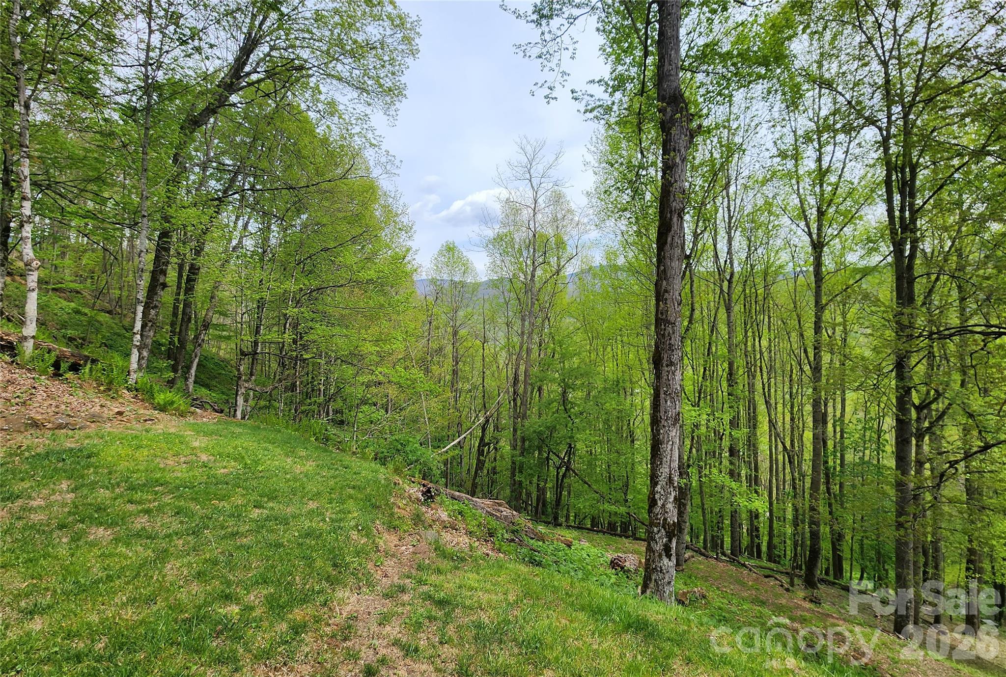 The Croft - Residential