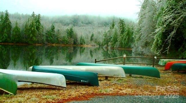 Sherwood Forest - Land