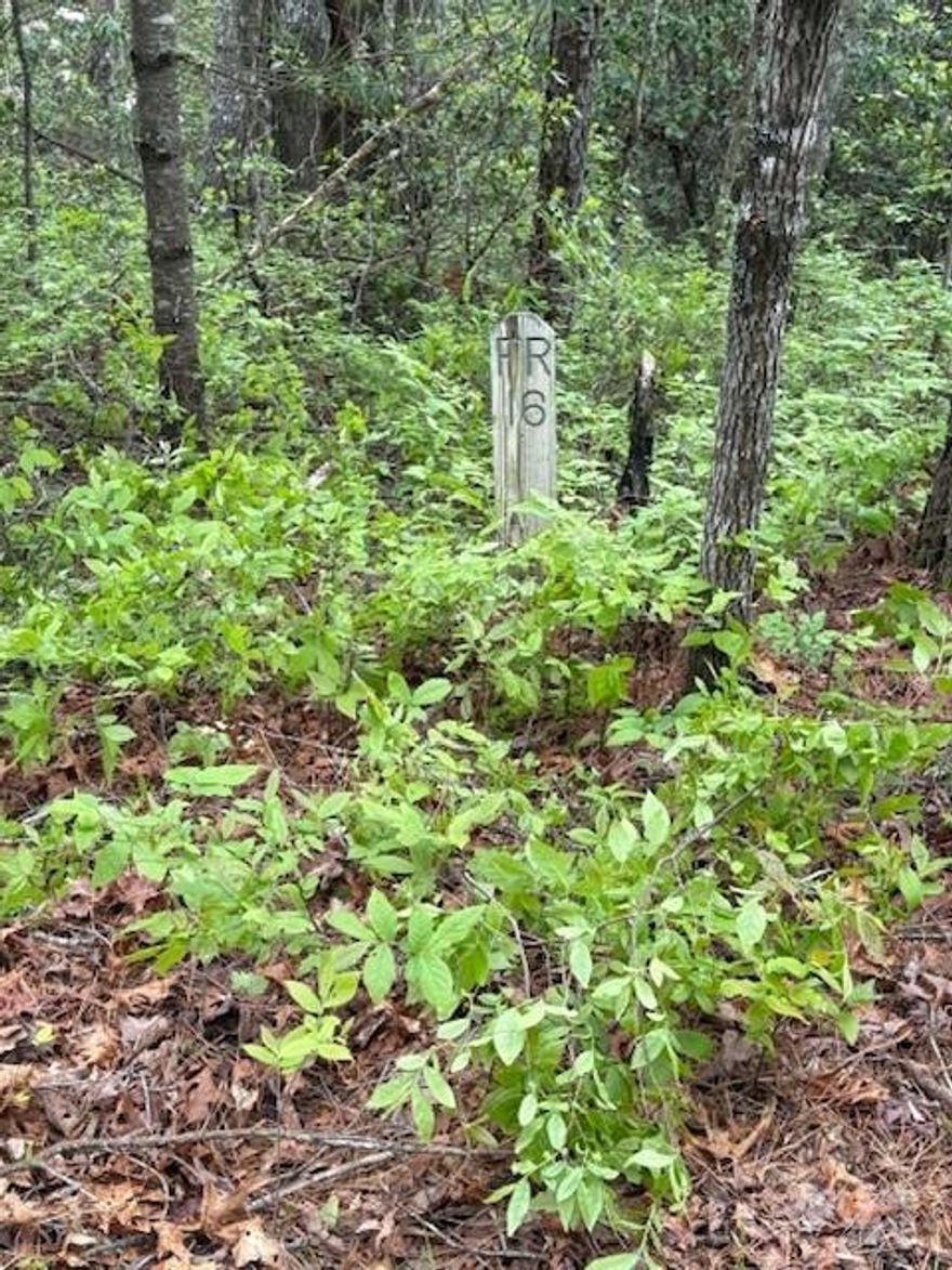 An exceptionally private lot in Sherwood Forest on Opossum, a short street off Feed Rock. The lot is on a cul-de-sac, on the left, gently sloped, filled w/ gorgeous hardwoods plus mountain laurels and rhododendrons.  Adjacent to a private 85 acre property bordering Sherwood Forest. Septic access (A&D sewage AKA Utilities, Inc.) is through a septic system serving the Feed Rock area.  Sherwood Forest members enjoy five lakes, historic Robin Hood Barn, heated Junior Olympic pool, tennis/pickle ball courts, 18 hole golf course, eco-friendly community garden, nature walks, stimulating lecture series, 25 miles of trails with mountain views and streams and gentle waterfalls. Sherwood Forest is an audubon community, a 1000 acre mountain development focused on environmental conservation. Governed by volunteers, a great community.  Approximately 45 minutes from both Greenville SC and Asheville NC airports and about 9 miles to Dupont Forest. 10 minutes from Brevard.  Great opportunity. Call now!