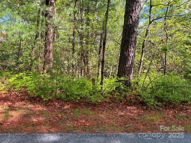 Sherwood Forest - Land