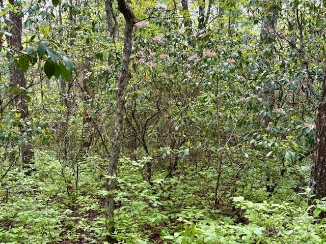 FR 16 Opossum Path FR 16