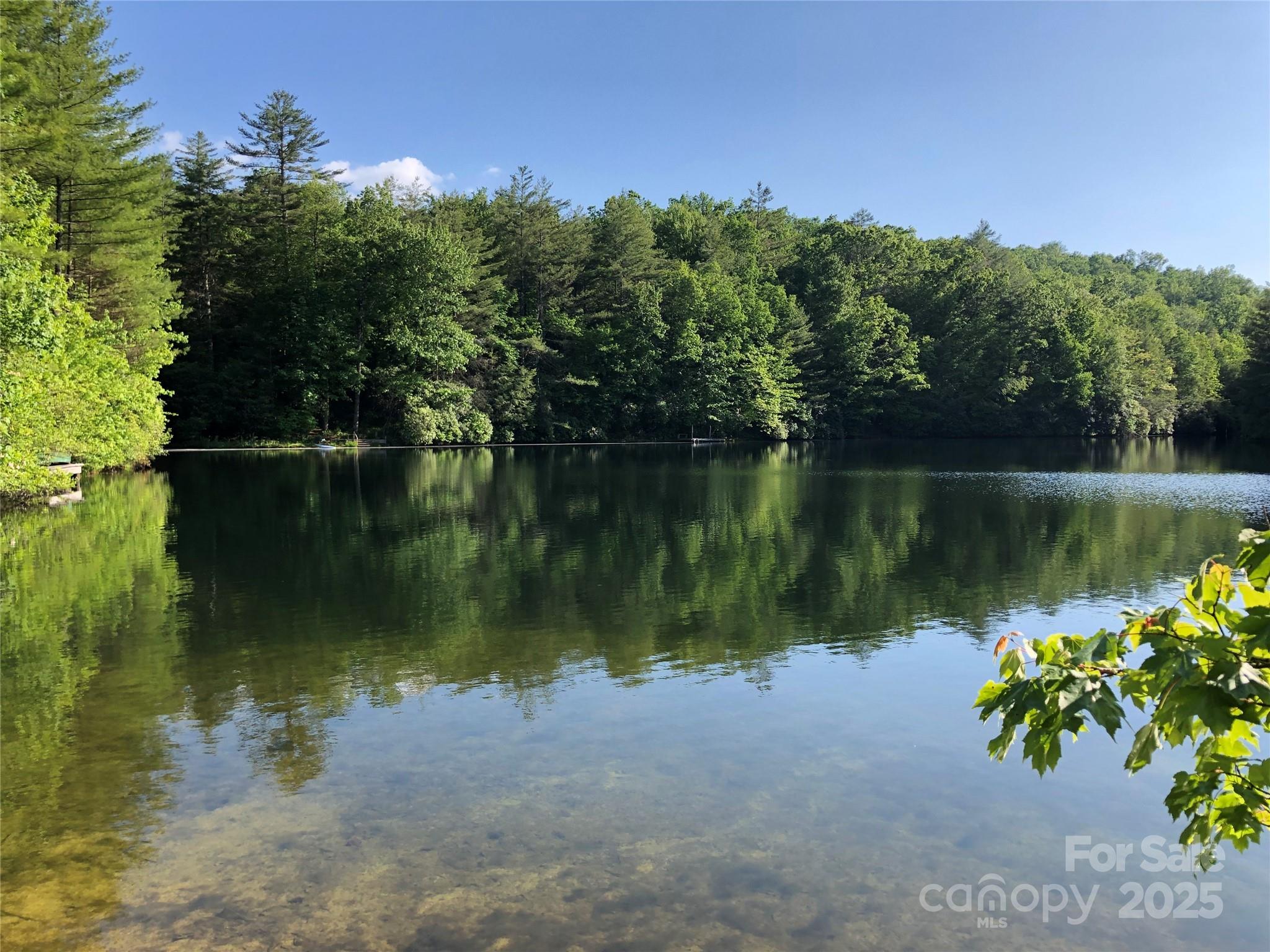 Sherwood Forest - Land